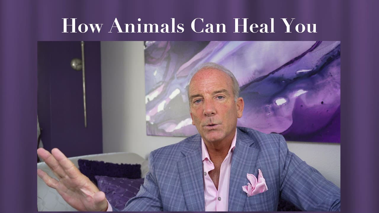 How Animals Can Heal You